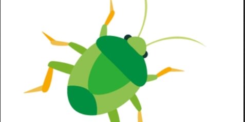 【悲報】全国でカメムシが大量発生！識者「秋に入っても暑い日が続くことで一斉に動いているのでは」