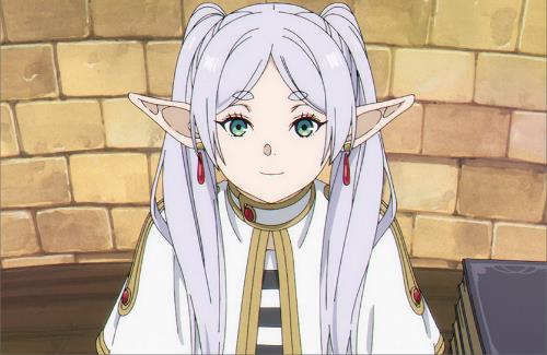 【コミケ】フリーレンのお仕事本・・・2冊で1万円