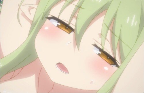 成人向け漫画の一番の嬉しさは「質より量」だと思う