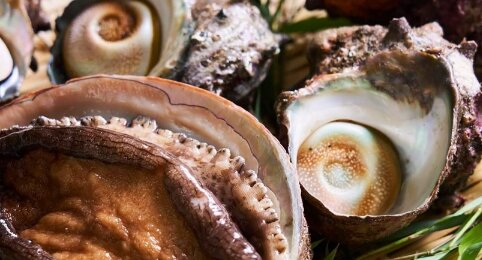 サザエやアワビなどの密漁者、半数以上が長野県在住だった！