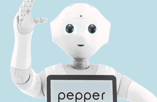 「ペッパー君」を手斧で破壊する作業が軽くホラー…