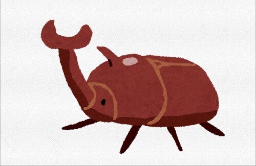 【強い】日本のカブトムシ、最強のヘラクレスオオカブトに勝ってしまうｗｗｗｗｗｗｗｗ
