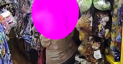 おもちゃ店でぬいぐるみを盗んだ無職女（39）を逮捕、店主「ホッとした感じです」