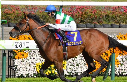 【京都記念】競走を中止した「エフフォーリア」は心房細動の診断