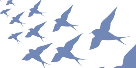 【悲惨】渡り鳥1000羽以上が一晩でビルに突っ込みまくり衝突死してしまう…