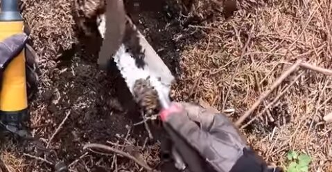 「宝探し」YouTuberが重要遺跡を無断で掘削か、文化資源課「法令違反の恐れ」