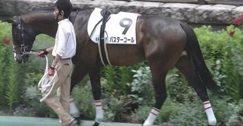 【競馬】ある新馬戦の馬と騎手が完全にワンピースだと話題にｗｗｗｗ