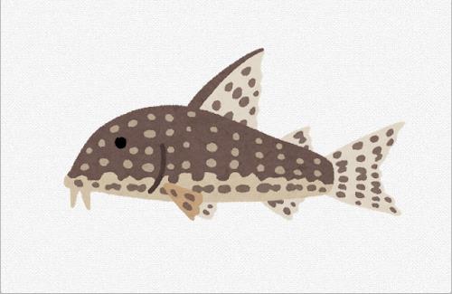 えちちな漫画の「お口が妊娠しちゃう」を実行する魚ｗｗｗｗｗｗｗｗｗｗｗｗ