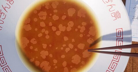 【謎ゲー】“ラーメンに浮いた油を集めるゲーム”が6月にSteamで配信決定ｗｗｗｗ