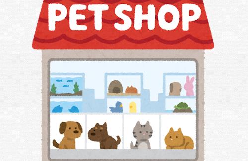 ペットショップ大手の告発内容がヤバすぎる・・・