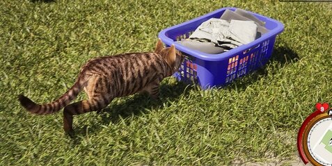 【期待】プレイヤーが猫のオープンワールドゲー『Cat Life Simulator』のストアページが公開！