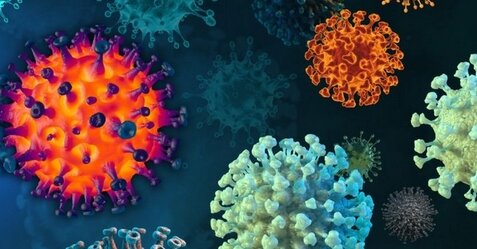 コロナ派生型「エリス」が都内で3割に！米欧では新たな派生型も見つかる