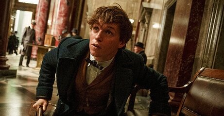 【悲報】映画『ファンタスティック・ビースト』シリーズ制作が棚上げされている事を監督が認める