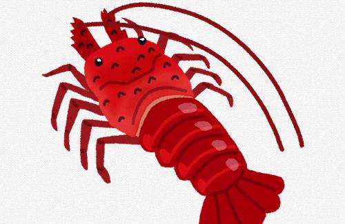 【画像】いっぱい「伊勢海老」釣れるのに持って帰れないのツラいな…