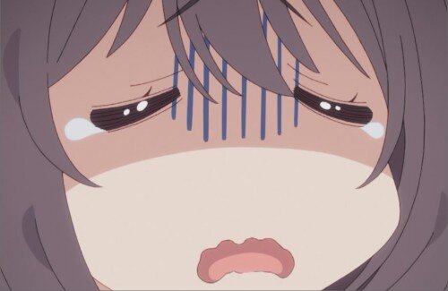 X民さん『アニメから入った人の熱量を、最初に否定しないでほしい』