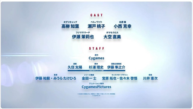 20241225213531