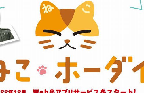 【炎上】月額380円で保護猫をもらう・飼い猫を手放す事が出来てしまうとんでもないサブスクが登場