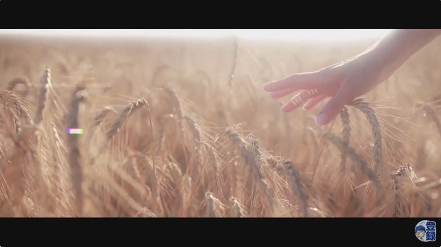 2024y07m28d_214325932