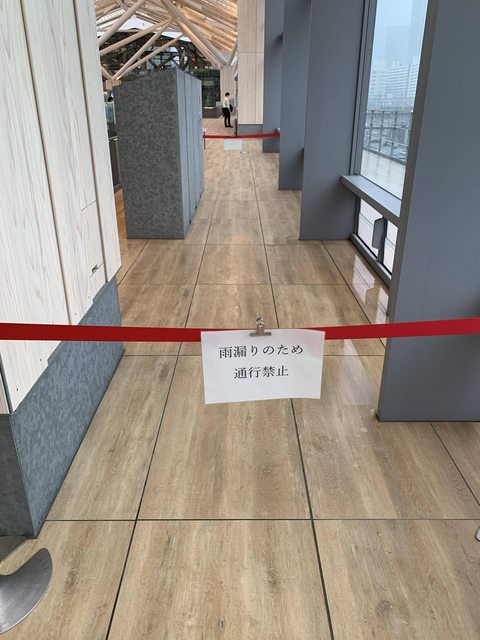 large#EWF-EsFUYAMtt4y