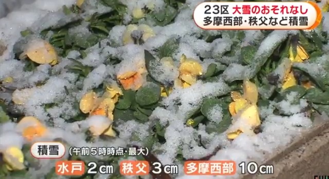 2022y02m14d_071149596