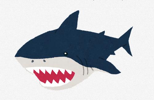 ホホジロザメさん、人間を“避けながら”泳いでいることが判明する…