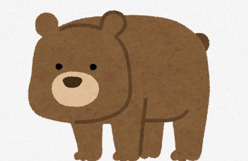 【画像】熊の爪こわすぎだろ…