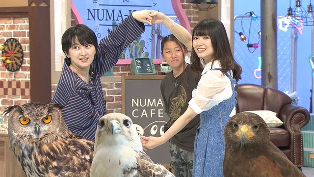 声優・渕上舞さんがNHK「沼にハマってきいてみた」に出演決定！『大好きな鳥に関わるお仕事…嬉しすぎたたた。』