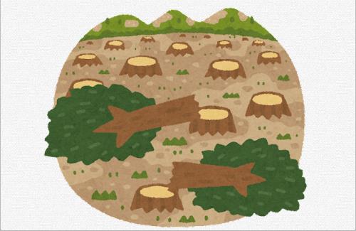 中国人さん、他人の土地にある樹木を勝手に伐採してしまう…