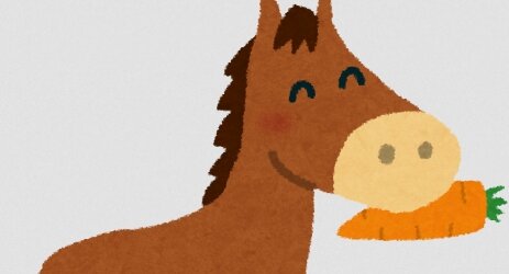 【ﾋｴｯ】馬に餌やり体験をしていた女児が指をかみ切られてしまう事故…