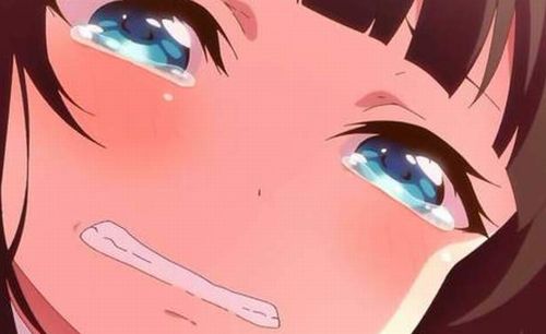 海外オタさん「日本アニメの質が落ちた原因は、今のアニメが全部萌えハーレムアニメだから」