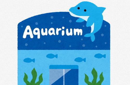 【画像】桂浜水族館、入場待ちで長蛇の列…公式『念願叶えるのやめてもろて』『泣く……。』