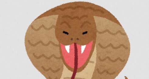 【強い】毒持ちコブラが少年に咬みつく！→少年が反撃でコブラに咬みつき逆に絶命させる