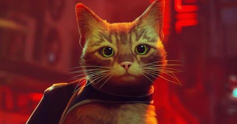 【期待】話題になった猫ゲー『Stray』長編アニメ映画の制作が決定！！