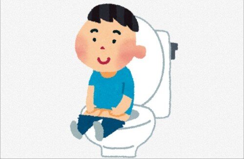 【洋式トイレ】男のおしっこ事情が話題にｗｗｗｗｗｗｗｗｗｗ