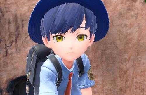 【画像】新作ポケモン、冒険以外の楽しみ方ｗｗｗｗｗｗ