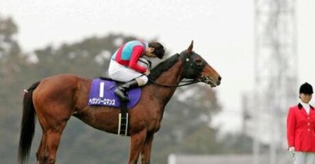 【11年ぶり】『天皇賞(秋)』で天覧競馬を実施！警察官立ち合い＆来場者手荷物検査