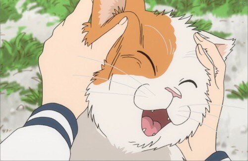 人間は毎日風呂に入らないと臭うのに、猫はずっと入らなくてもいい匂いなのズルすぎる