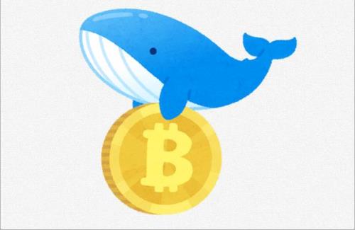 彼女にビットコインが入ったハードディスクを捨てられる ⇒ 結果・・・