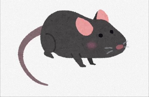 ミッキーマウスが「著作権フリー」になる！なお・・・