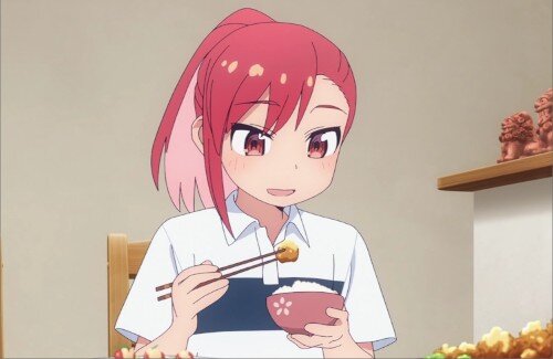 X民さん『アニメ特有の母親の遺伝的特性しか受け継いでいない家族を見ると嬉しくなる。』