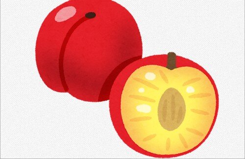 【画像】X民さん『メルカリでプラムを買ったら、想像以上に新鮮でおいしかった』
