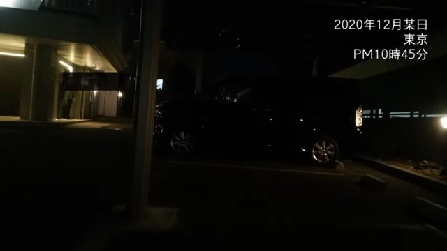 2021y01m11d_110456528