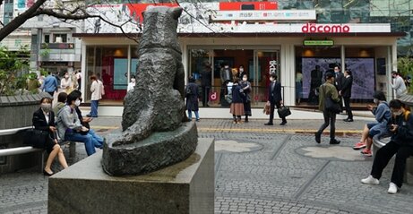 渋谷区がハロウィン期間中“ハチ公前周辺を封鎖”へ！ これは仕方ないか…