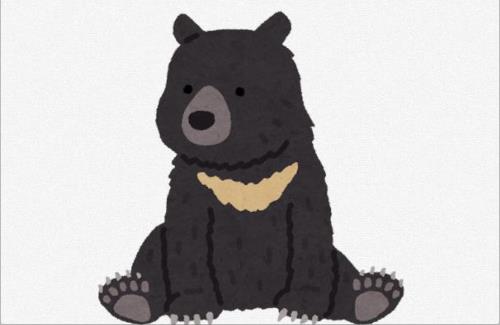 【朗報】秋田市スーパーのクマがついに捕獲される