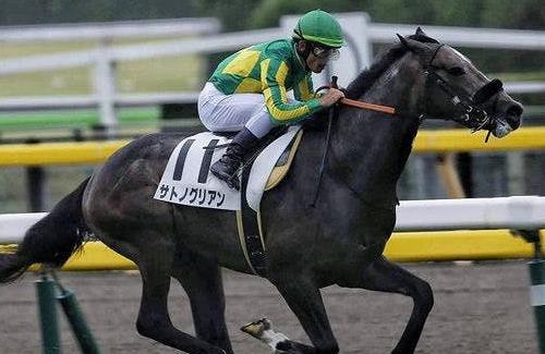 JHA 日本乗馬普及協会『引退競走馬の「ウマ娘化」選手権を開催します！』