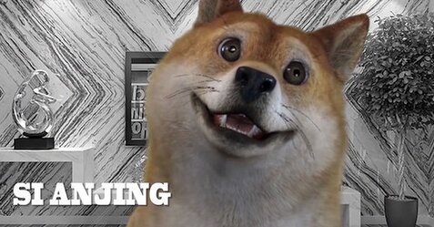 【その後除外】VTuber登録者数世界1位のホロライブ・がうる・ぐらさん、犬に抜かれる