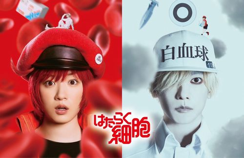 【12月公開】『はたらく細胞』実写映画化が決定！赤血球：永野芽郁さん、白血球：佐藤健さん