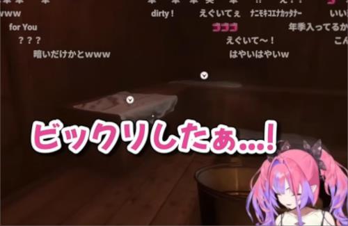 ホロライブの新人ちゃん、ホラゲー配信→「事件性のある悲鳴」でリスナーをビビらせるｗｗｗｗｗｗｗｗｗｗｗ