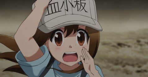 今でも酷暑なのに8月上旬には「10年に1度クラスの暑さ」になる模様、秋は逝ってしまった