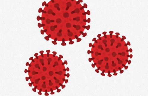 武漢の研究所「コウモリから新型コロナに似た新しいウイルスが見つかりました」